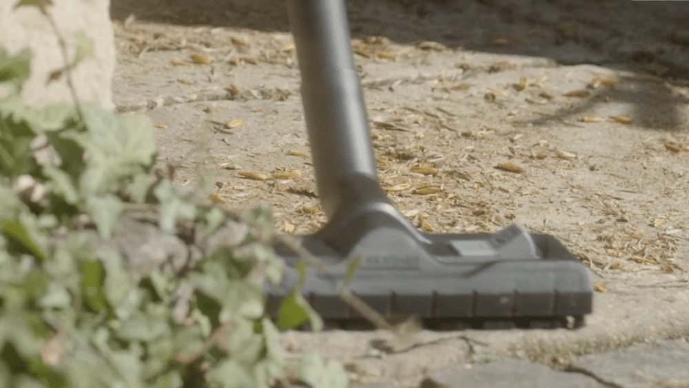 924c2503032ac7f56ea97240a1b1345b_1762158573_785.gif 924c2503032ac7f56ea97240a1b1345b_1762158573_785.gif